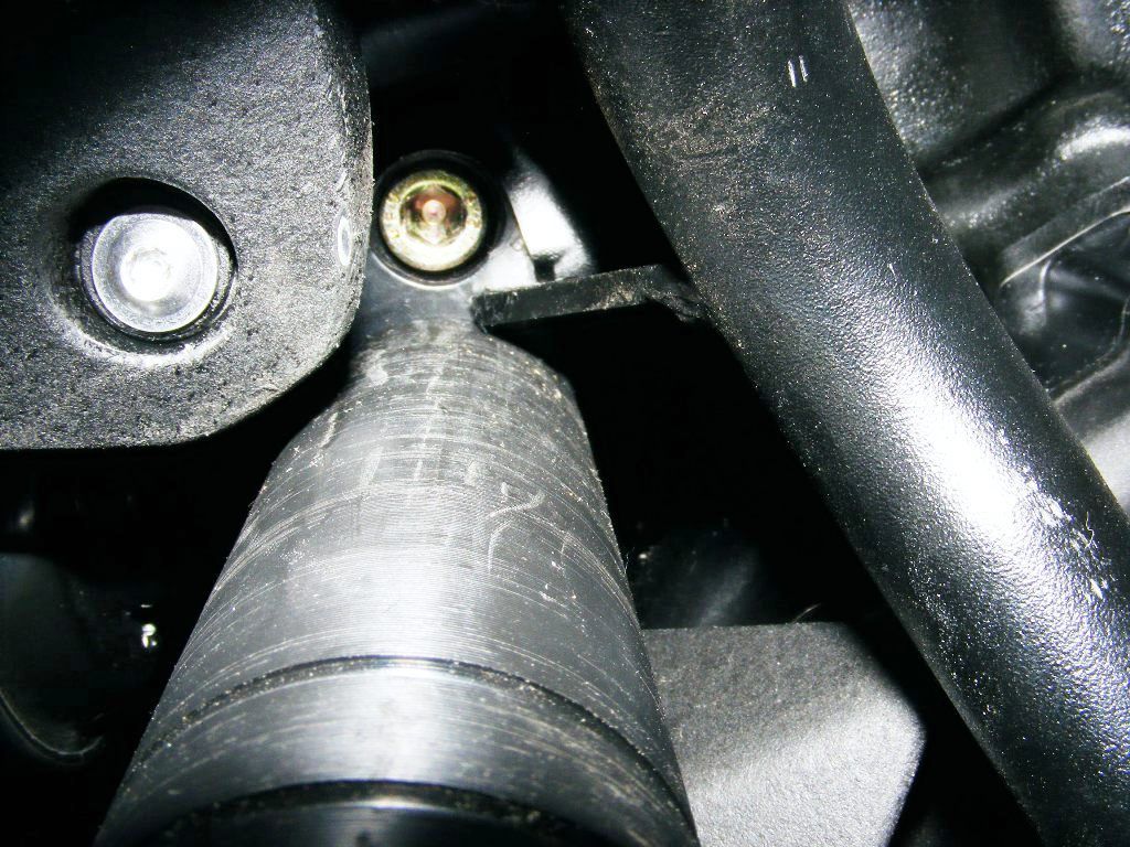 Trex Frame Sliders back in stock Kawasaki Versys Forum